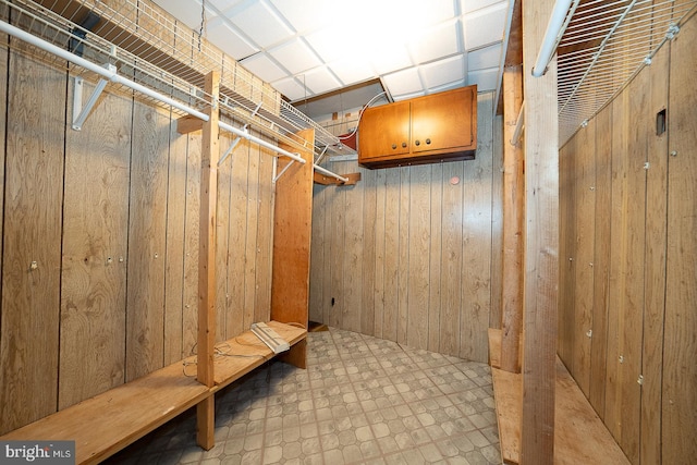 basement with wooden walls