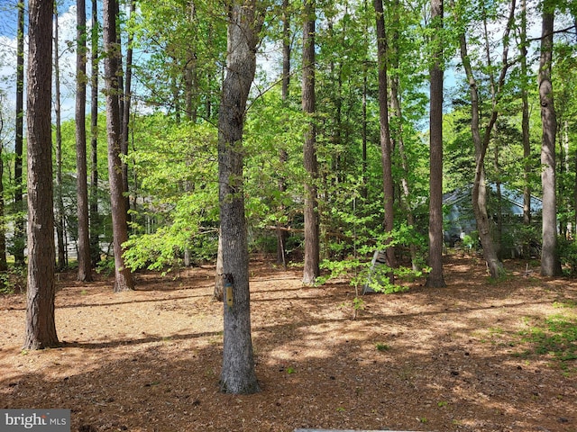 view of nature
