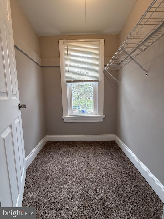 walk in closet featuring carpet