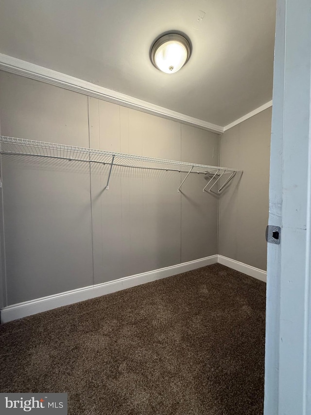 walk in closet with dark colored carpet