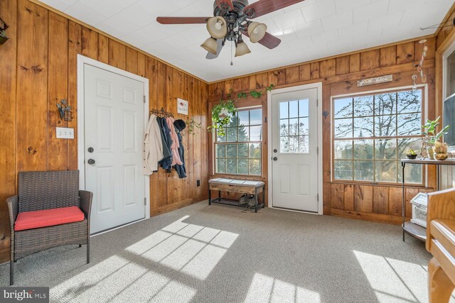 interior space featuring carpet floors, wood walls, a ceiling fan, and a wealth of natural light