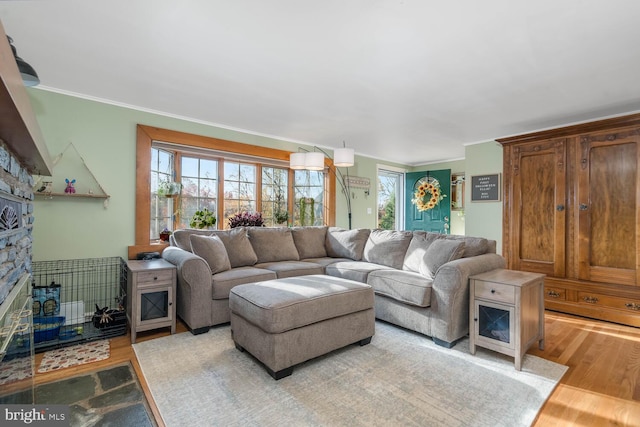 living area featuring plenty of natural light, ornamental molding, and light wood finished floors