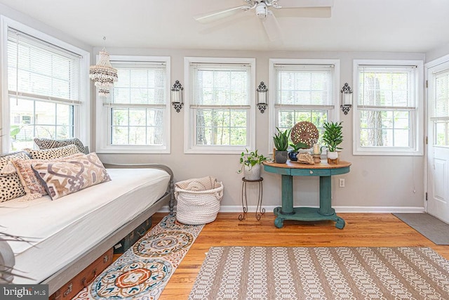 sunroom featuring a wealth of natural light