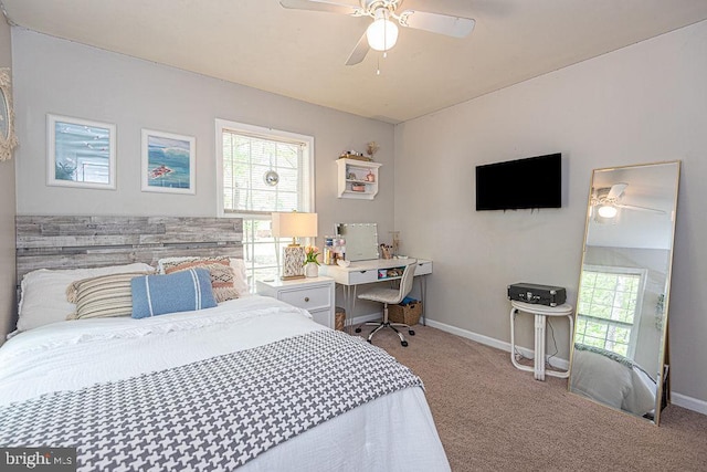 bedroom featuring baseboards, carpet, and multiple windows
