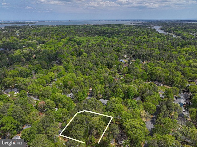 bird's eye view with a forest view and a water view