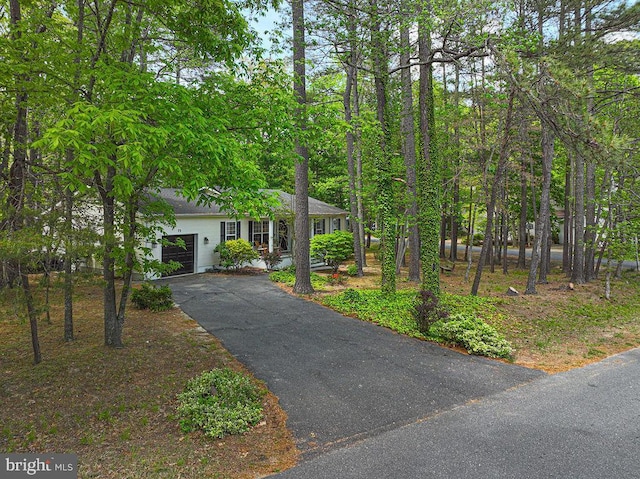 obstructed view of property featuring a garage and aphalt driveway