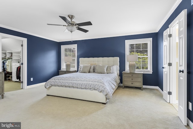 bedroom with carpet floors, baseboards, ornamental molding, and a walk in closet