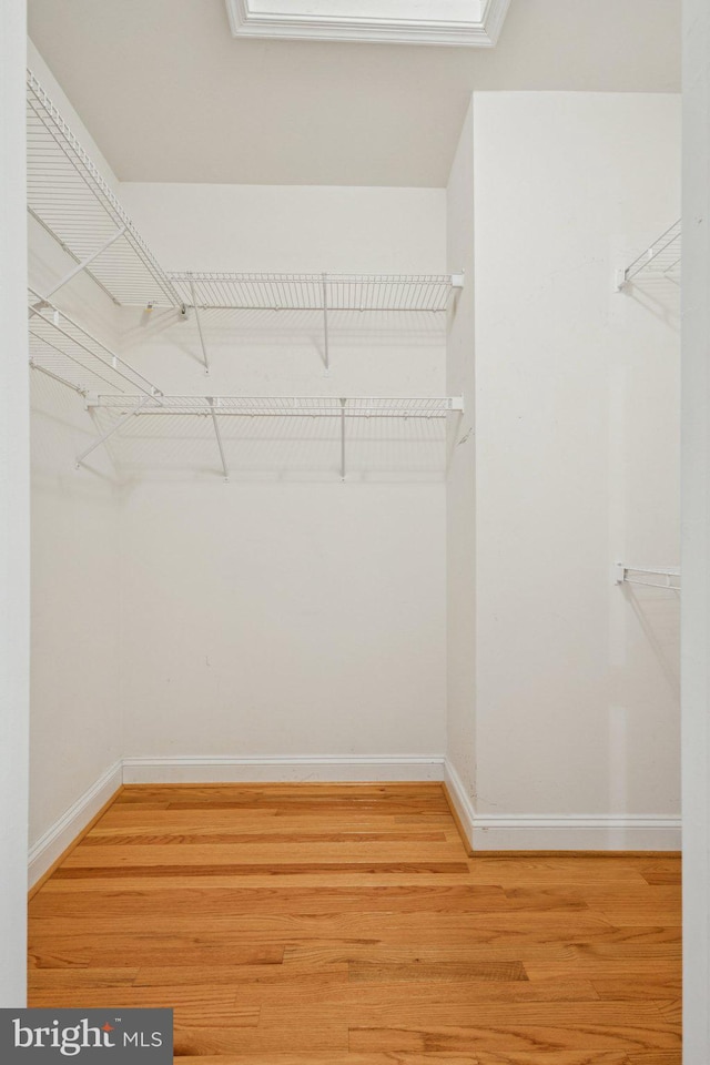 301 Gentle Breeze Cir, Fredericksburg, VA 22406 - walk in closet with light wood-style floors