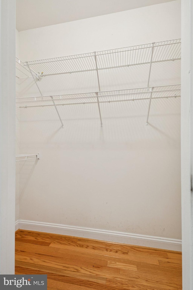 301 Gentle Breeze Cir, Fredericksburg, VA 22406 - walk in closet with wood finished floors