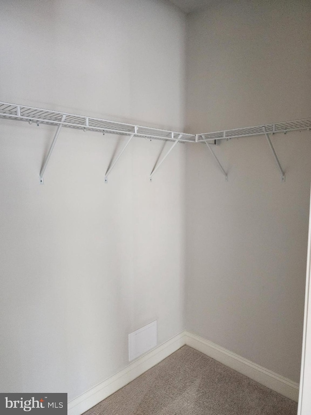 walk in closet with carpet flooring