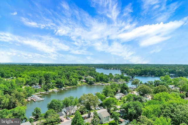 7707 W Dr, Glen Burnie, MD 21060 - bird's eye view of a forest and a large body of water