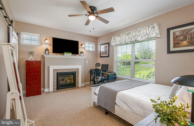 carpeted bedroom with baseboards, a fireplace, a ceiling fan, and a barn door
