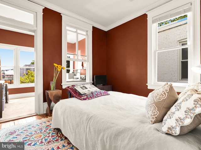bedroom featuring crown molding, baseboards, wood finished floors, and multiple windows