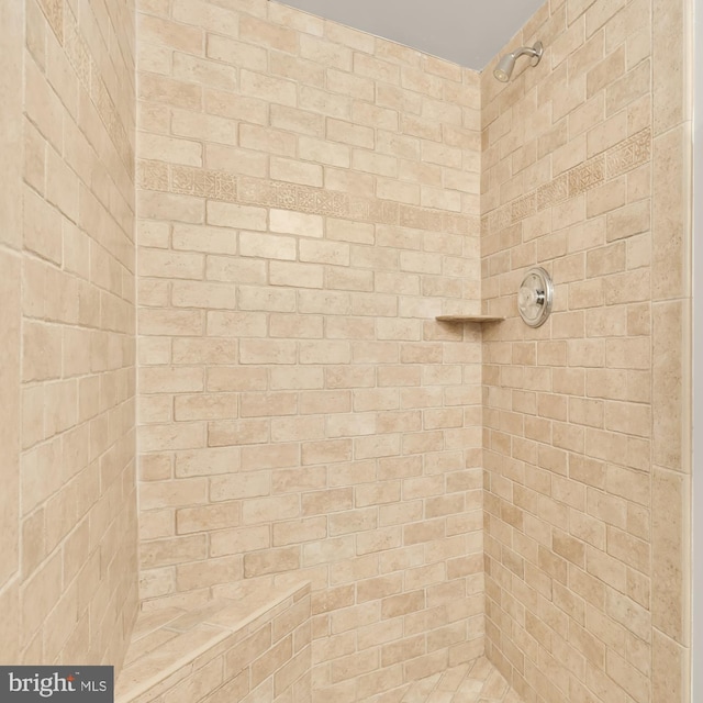 interior details with tiled shower