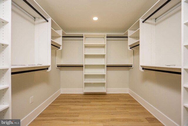 spacious closet featuring wood finished floors