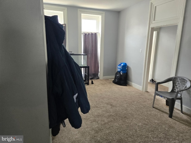 507 N Schroeder St, Baltimore, MD 21223 - bedroom with carpet and baseboards