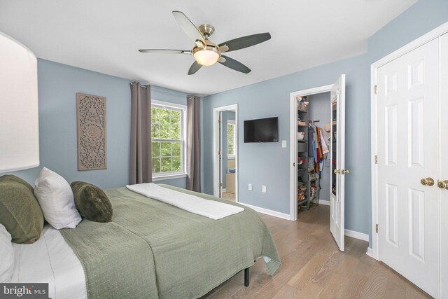 bedroom featuring a walk in closet, a ceiling fan, wood finished floors, baseboards, and a closet