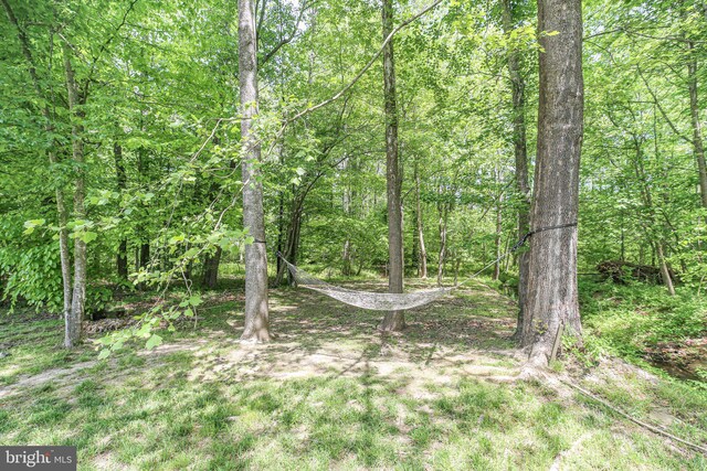 view of nature with a wooded view