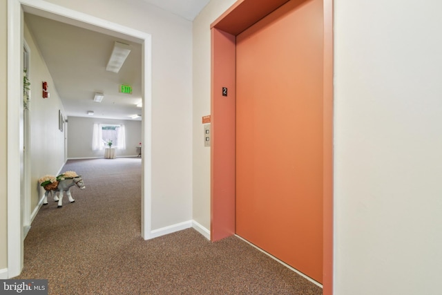 2013 Rudy Serra Dr Unit 2D, Eldersburg, MD 21784 - hallway with carpet, elevator, and baseboards