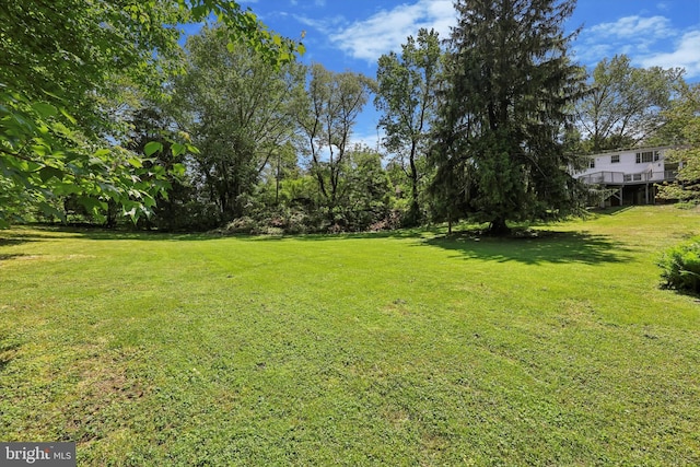 view of grassy yard