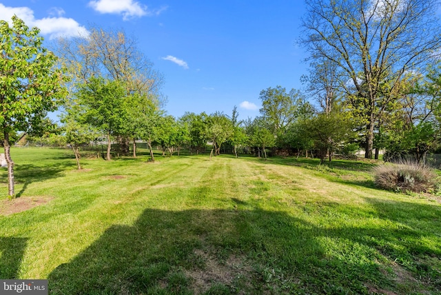 view of yard