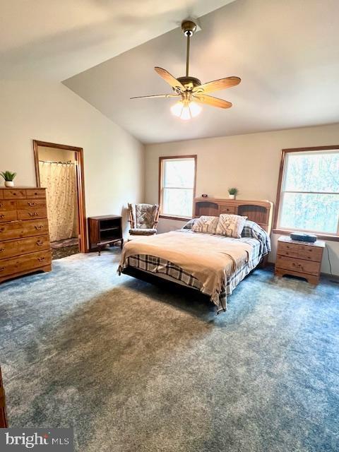 carpeted bedroom with ceiling fan, multiple windows, and lofted ceiling