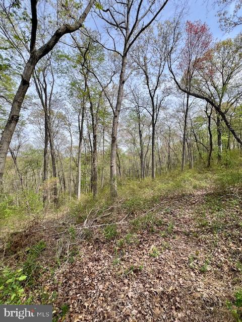 view of nature featuring a forest view