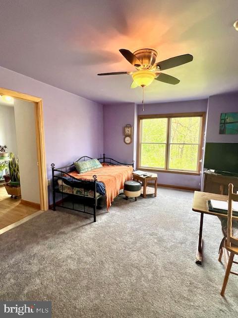bedroom featuring ceiling fan and carpet