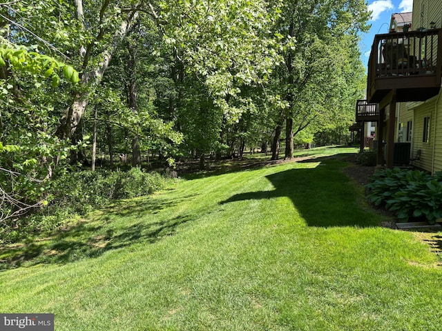 view of grassy yard