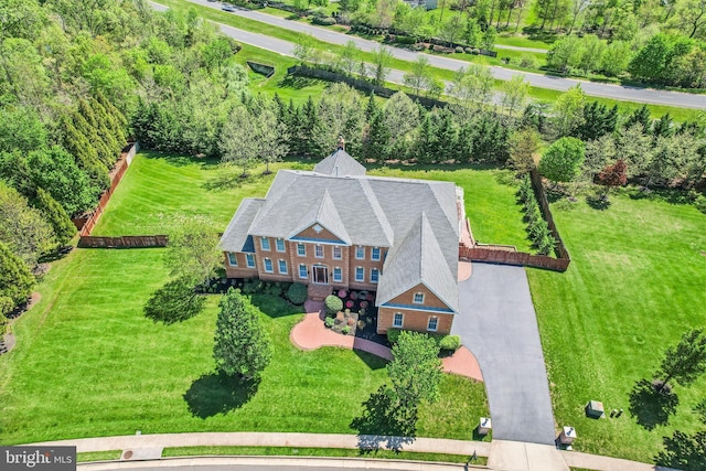 bird's eye view