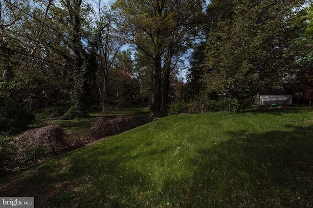 view of yard
