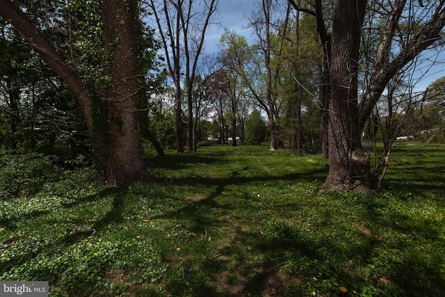 view of landscape