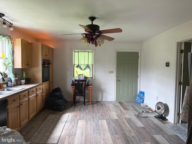 kitchen featuring a sink, light wood-style floors, black oven, brown cabinetry, and a ceiling fan