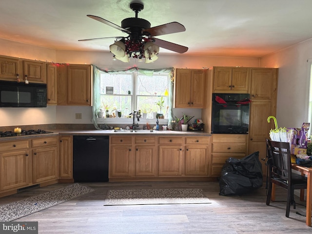 kitchen featuring ceiling fan, light wood-type flooring, light countertops, a sink, and black appliances