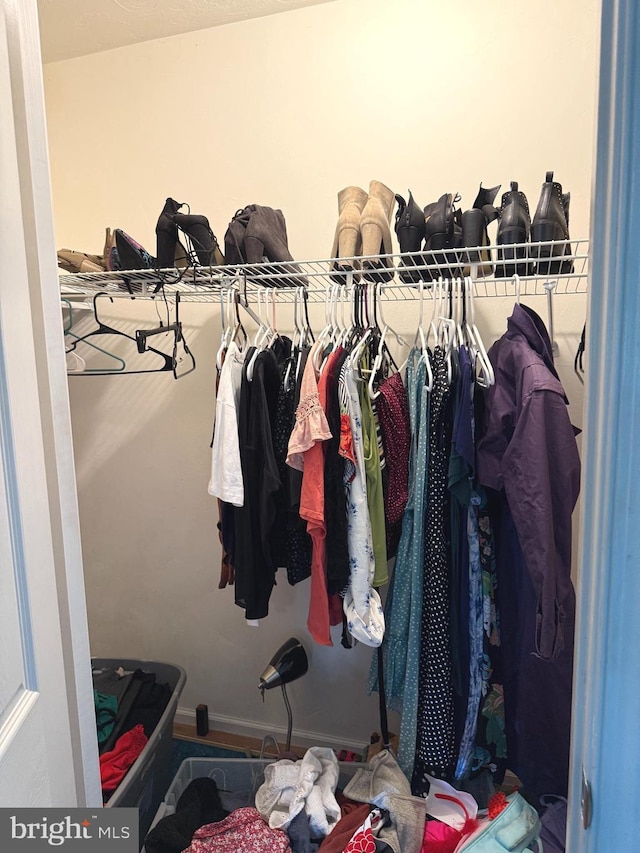 view of spacious closet