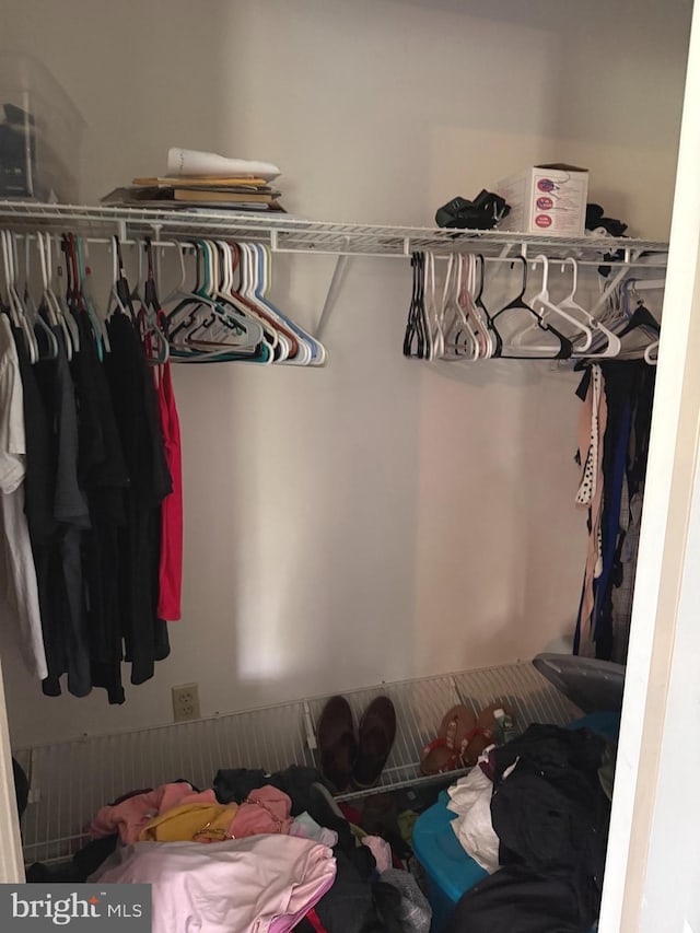 view of walk in closet