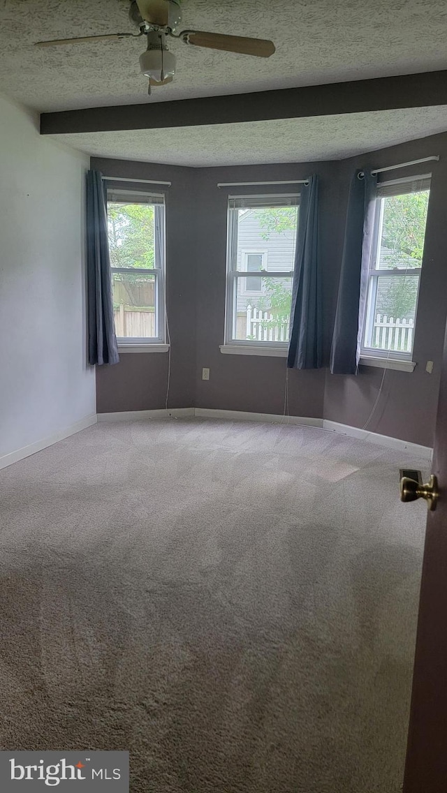 807 Riverside Dr, Pasadena, MD 21122 - carpeted empty room with baseboards, a ceiling fan, and a textured ceiling