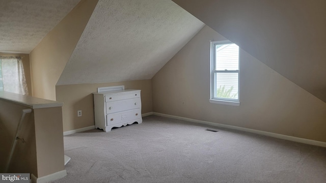 807 Riverside Dr, Pasadena, MD 21122 - additional living space with carpet, a textured ceiling, baseboards, and lofted ceiling
