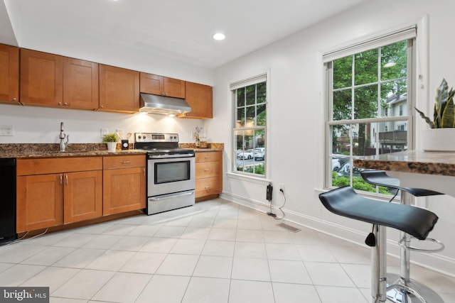 5439 Grove Ridge Way Unit 112, Rockville, MD 20852 - kitchen featuring stainless steel electric range, a sink, under cabinet range hood, brown cabinetry, and dark stone counters