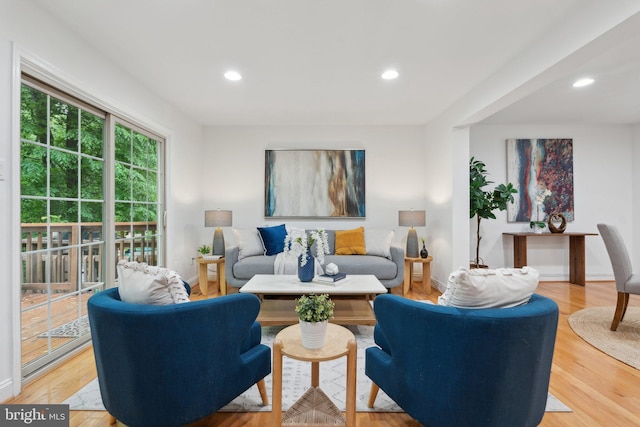 5439 Grove Ridge Way Unit 112, Rockville, MD 20852 - living area featuring light wood finished floors and recessed lighting