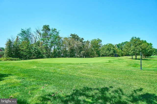 view of community featuring golf course view and a yard