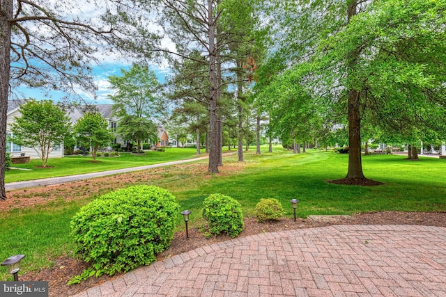 15201 Weiskopf Ct, Haymarket, VA 20169 - view of home's community with a yard