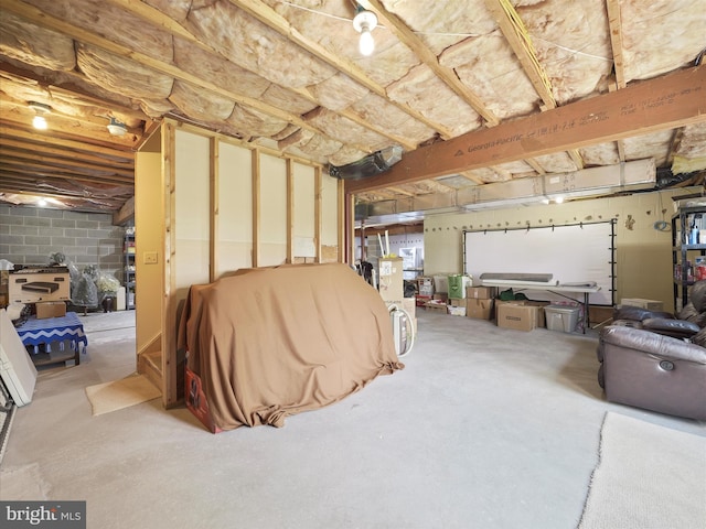 unfinished below grade area with concrete block wall