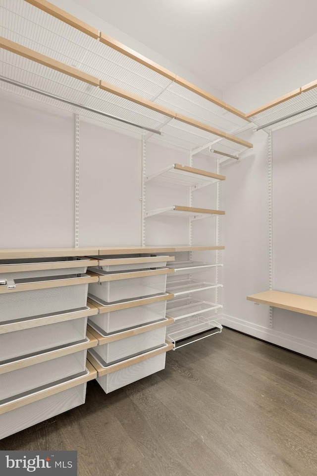 770 Park Rd NW Unit 201, Washington, DC 20010 - walk in closet featuring wood finished floors