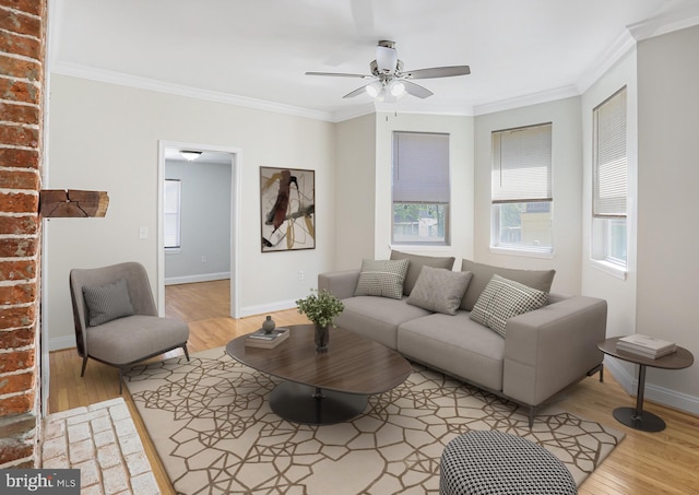 living area featuring crown molding, wood finished floors, baseboards, and ceiling fan