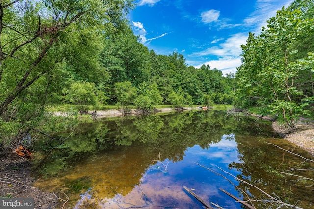 371 Oak Hill Rd, Berkeley Springs, WV 25411 - water view with a view of trees