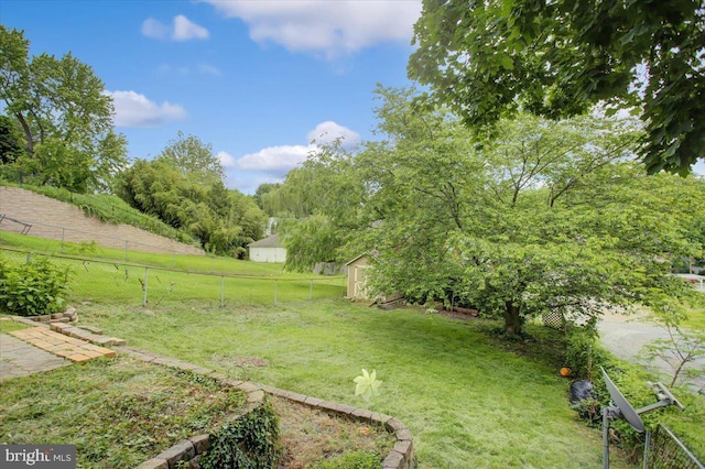 125 Cottage St, Waynesboro, PA 17268 - view of yard