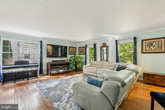 living room with crown molding and hardwood / wood-style floors