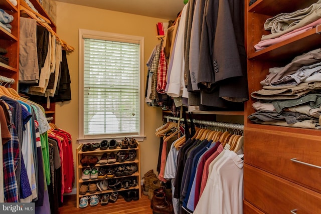walk in closet featuring wood finished floors