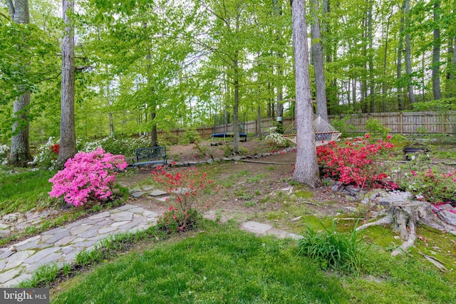 view of yard with a fenced backyard